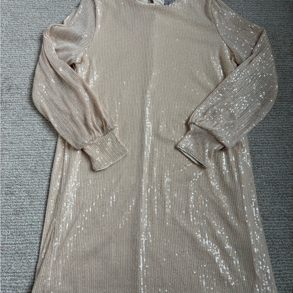 Sparkling champagne Long Sleeve Dress